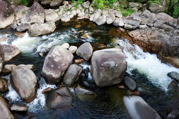 Serra do Mar, rio e floresta -2