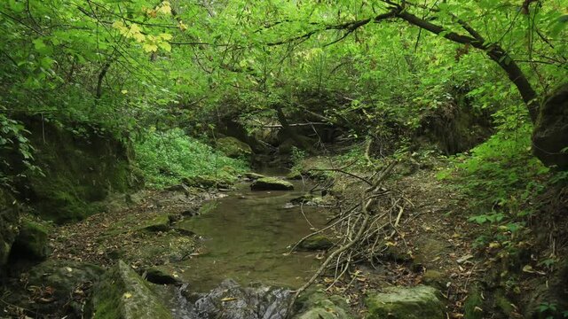 Streaming water in Bechir's Gorge near Soroca, Moldova