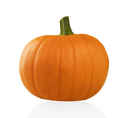 Fresh and yellow pumpkin on white isolated background