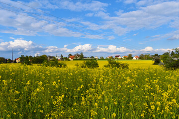 Wahnsdorf