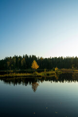 Fall colors in Nuuksio National Park, a popular outdoor paradise close to Helsinki town in Finland.