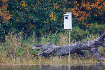 Wood Duck nesting box on a pond in northern Wisconsin, selective focus, background blur
