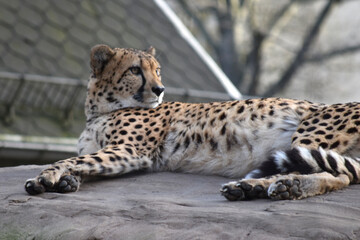 Zoo Dresden