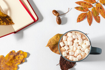 Cup of hot chocolate with autumn leaves and sketchbook