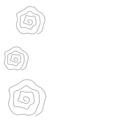 Roses flowers on white background. Vector illustration
