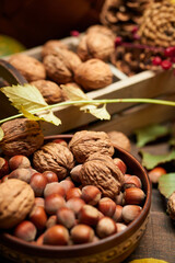 autumn still life in rustic style as a background - leaves, vegetables and fruits, nuts and other natural food ingredients on wooden boards