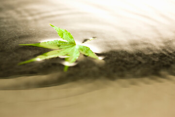 Obraz premium 和風イメージ