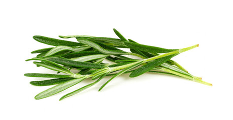 Rosemary isolated on white background