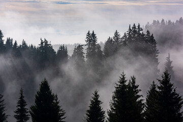 Brouillard divisé par les rayons du soleil. Matin brumeux vue dans la zone de montagne humide.