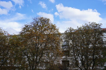 Alte Architektur am Landwehrkanal in Berlin-Kreuzberg hinter herbstlichen Kastanien bei Sonnenschein