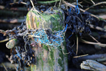 Detail Aufnahme vom Küstenschutz an der Nordsee, voll mit Plastik Müll