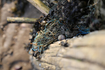 Detail Aufnahme vom Küstenschutz an der Nordsee, voll mit Plastik Müll
