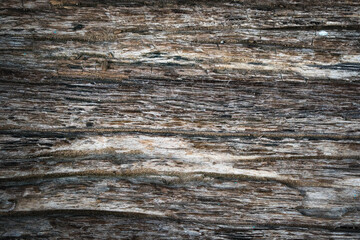 Old wooden floor pictures for background