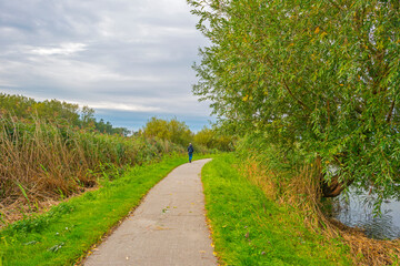 The edge of a lake in a green grassy field in sunlight under a blue cloudy sky in autumn, Almere, Flevoland, The Netherlands, September 27, 2020