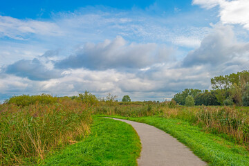 Fototapeta na wymiar The edge of a lake in a green grassy field in sunlight under a blue cloudy sky in autumn, Almere, Flevoland, The Netherlands, September 27, 2020