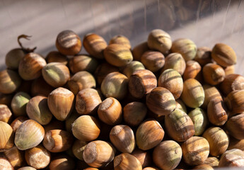 Hazelnut in a container in a sunny day.