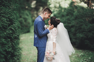 Romantic, fairytale, happy newlywed couple hugging and kissing in a park, trees in background