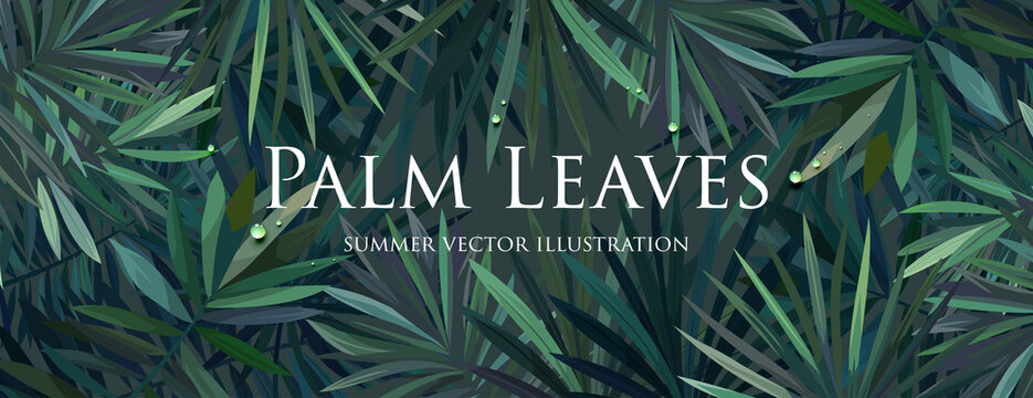 Tropical palm leaf with rain or ocean water drops. Summer fashion background concept for travel vacation or ecological green design. Eps10 vector.