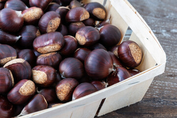 Autumn chestnut season in September
