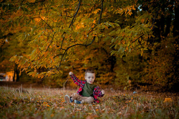 Little boy walks in nature in autumn, a preschooler in the autumn Park in yellow leaves