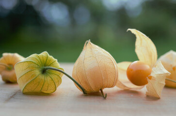 Ground cherry, Physalis fruit in soft light