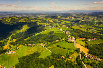 Fototapeta premium Aerial view of green hills and vineyards with mountains in background.