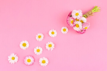 Daisy flowers composition. Beautiful bouquet on pink background.