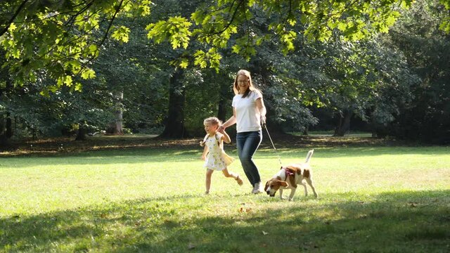 Mother with Daughter and a Dog Biggle run together happy in a Summer Park