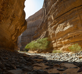 Sneak Canyon geological outcrop formations at ancient oasis ﻿﻿of Al Ula, Saudi Arabia