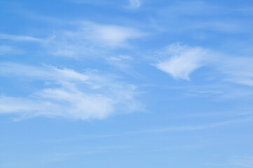 Obraz premium 青空