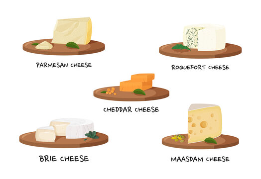 Various types of cheese. Realistic meal vector collection.
