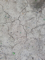 texture of dry grey soil with fall leaves