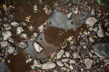 puddle and brown stones. Nature Autumn Rain