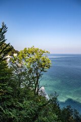 Kreidefelsen Møns Klint, Dänemark