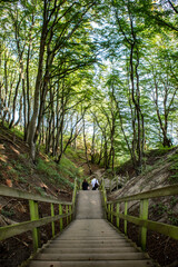 Kreidefelsen Møns Klint, Dänemark