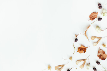 Autumn composition. Autumn leaves on white background. Flat lay, top view, copy space