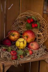 Autumn Apple still life