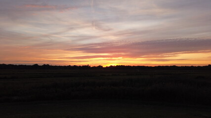 Landscape time lapse nature farm cow with green plant under sunset twilight background change to gold natural light color of beautiful grass wheat meadow prairie field in summer sun clear sky