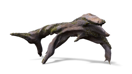 Fototapeta premium driftwood, dry tree branch with moss and barnacle isolated with shadow on white background