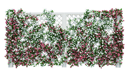 3d Render Brush Tree Isolated  on white