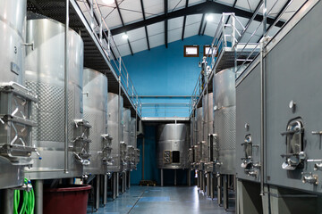 vineyard at harvest time