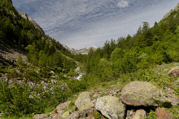 Fototapeta na wymiar trekking to Piano del Valasco and tour of the lakes of Portette, Claus & Valscura