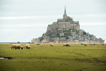 View of the Mont Saint-Michel, France - obrazy, fototapety, plakaty
