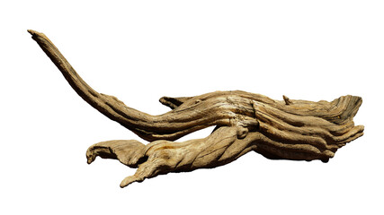 driftwood isolated on white background, aged branch