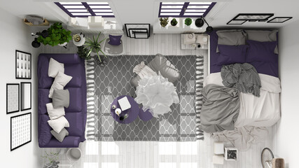 Scandinavian open space in white and purple tones, living room and bedroom with sofa and bed, coffee tables, carpet and potted plants, top view, plan, above, modern interior design