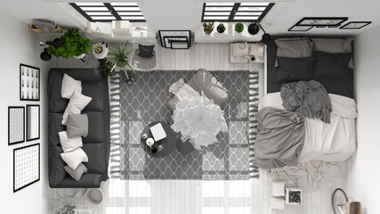 Scandinavian open space in white and gray tones, living room and bedroom with sofa and bed, coffee tables, carpet and potted plants, top view, plan, above, modern interior design