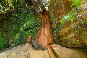 waterfall in a leafy ravine in the mountain