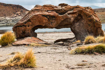 Roca