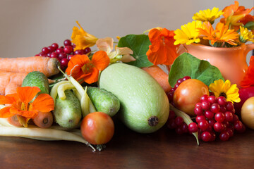 Autumn colorfull  сomposition with raw vegetables cucumbers, zu