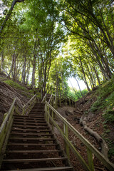 Die Küste Dänemark Südseelands wird von Møns Klint dominiert, der höchsten Klippe des Landes und ein fantastischer Ort zum Wandern und zum Staunen.